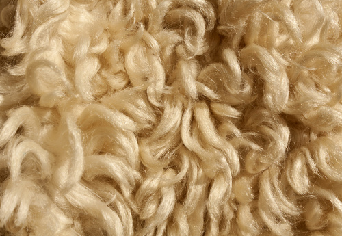Carpet fibers; available in commercial styles for your Phoenix area business