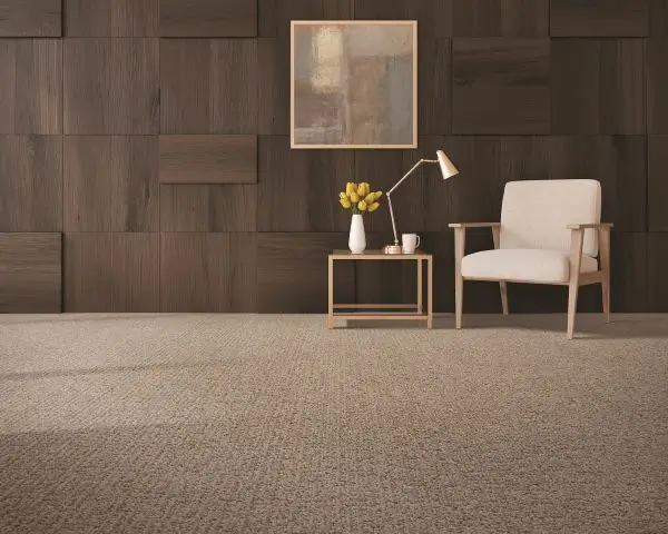 Commercial carpet installation in an Austin, TX home
