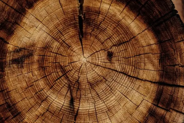 Timeless long-lasting hardwood ready for your Tucson, AZ floors