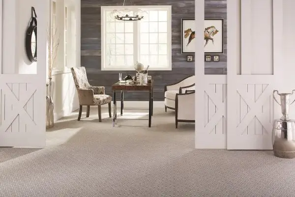 Commercial grade carpet flooring in a Tucson, AZ home