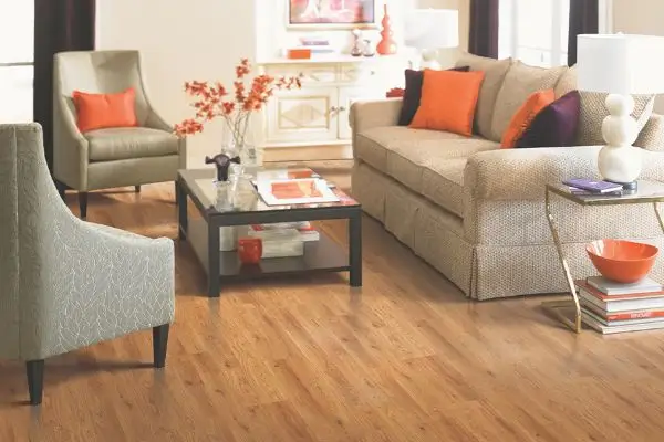 How to Protect Vinyl Flooring?