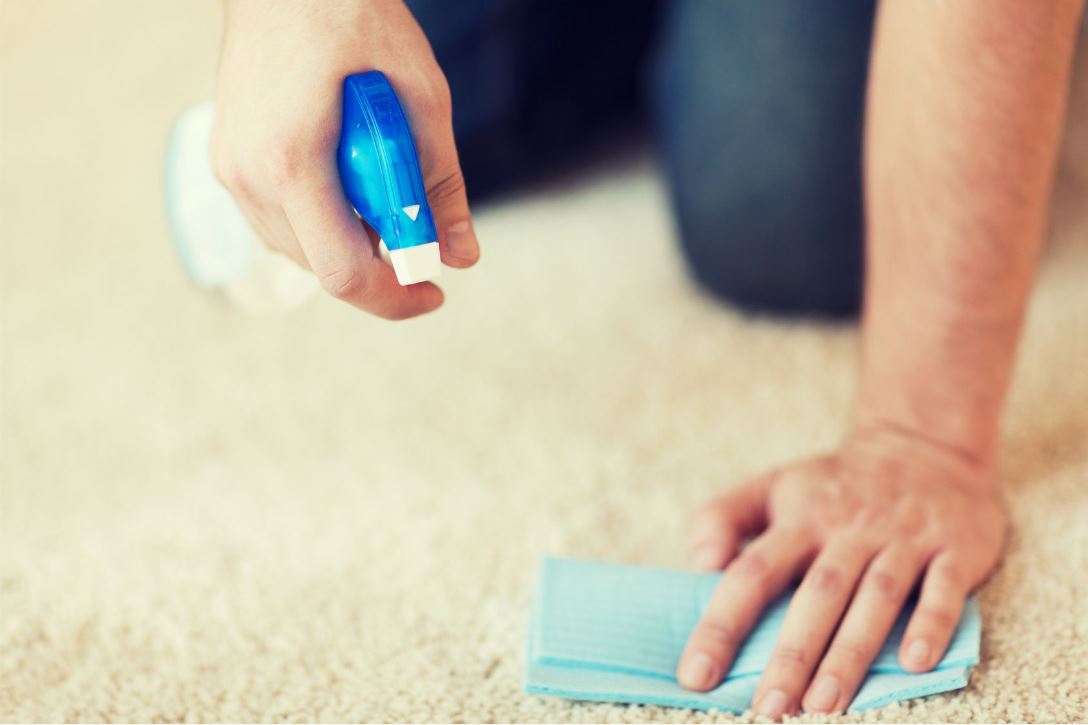Dallas homeowner maintaining their carpet flooring
