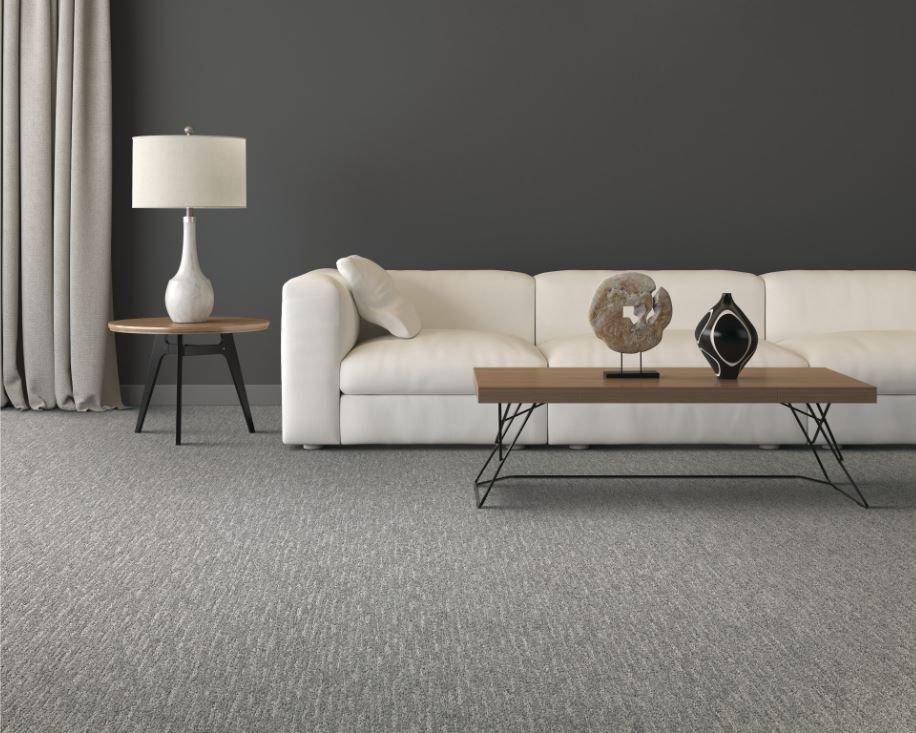 Nylon carpet in a high-traffic Dallas, TX home