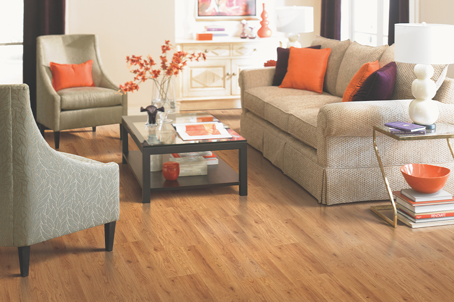 How to Protect Vinyl Flooring?